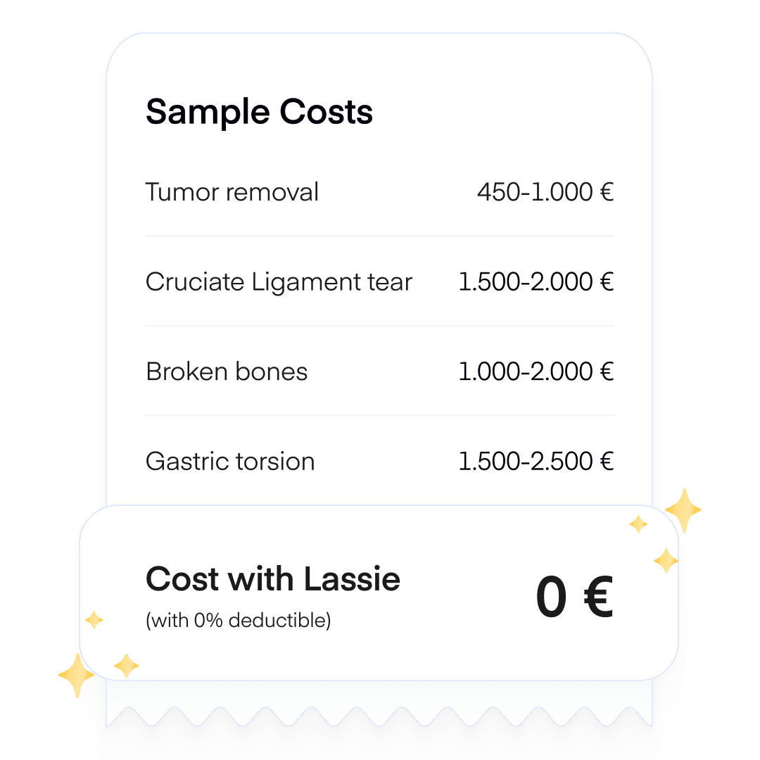 Kostenbeispiele Liste