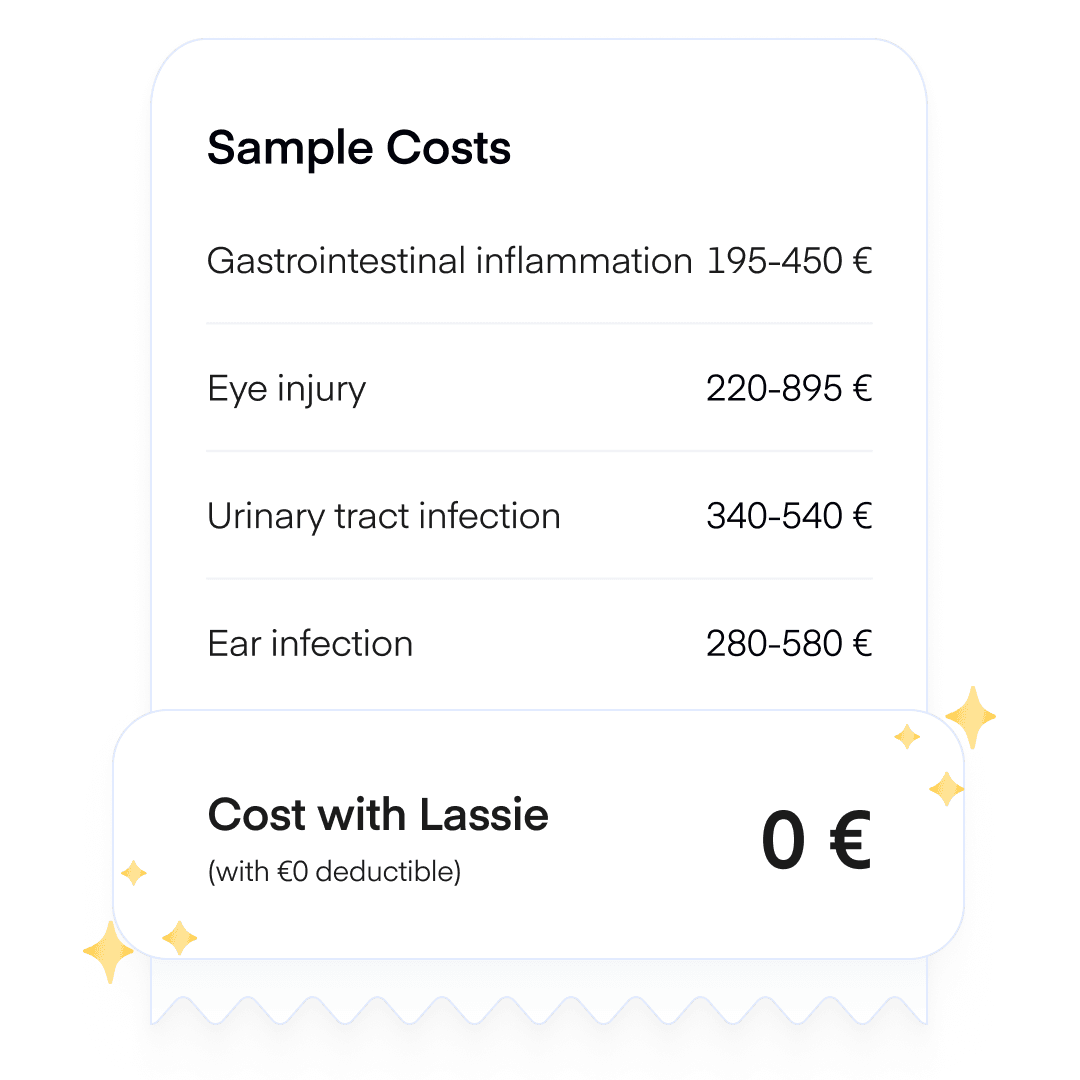 Ger: cat health treaments cost examples