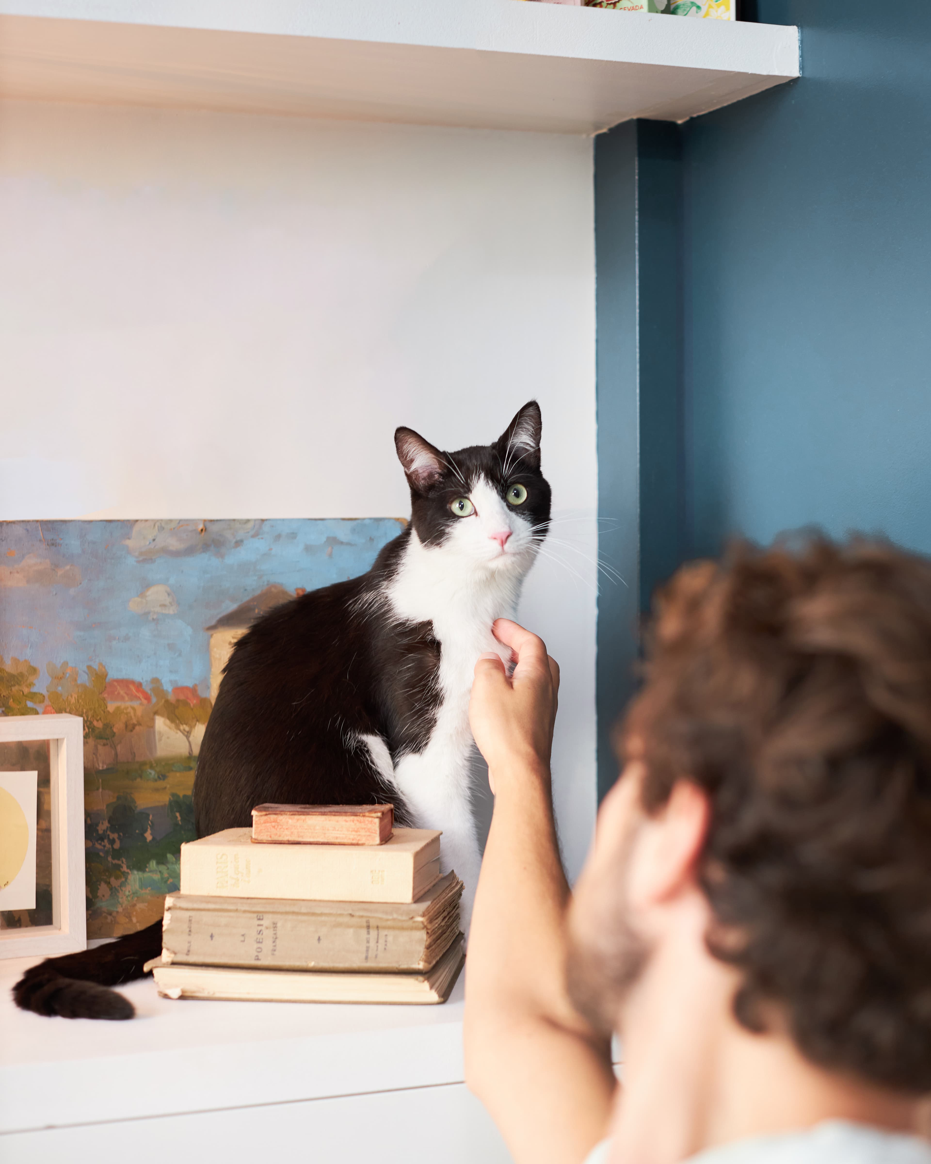 Couple with cat