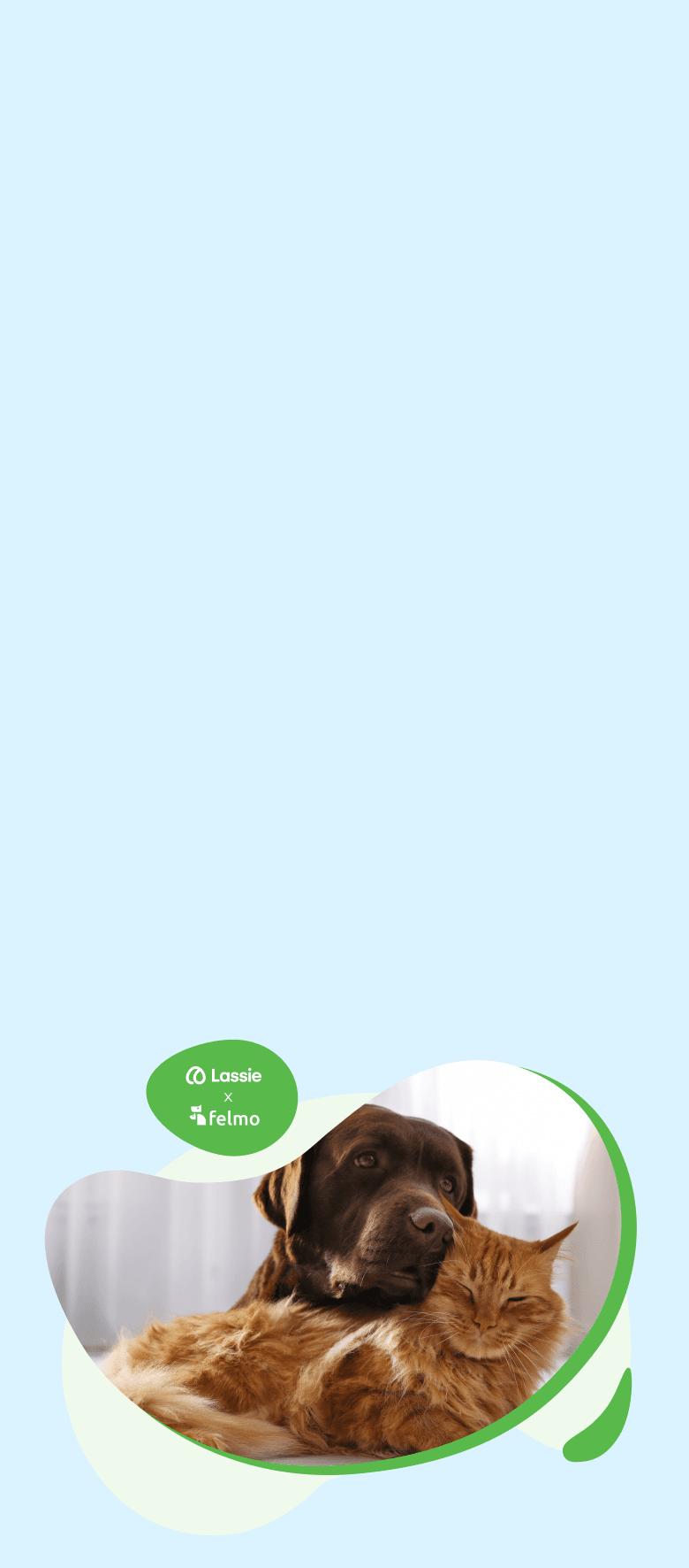 Ger: Lassie x felmo Hero Header - mobile thumbnail