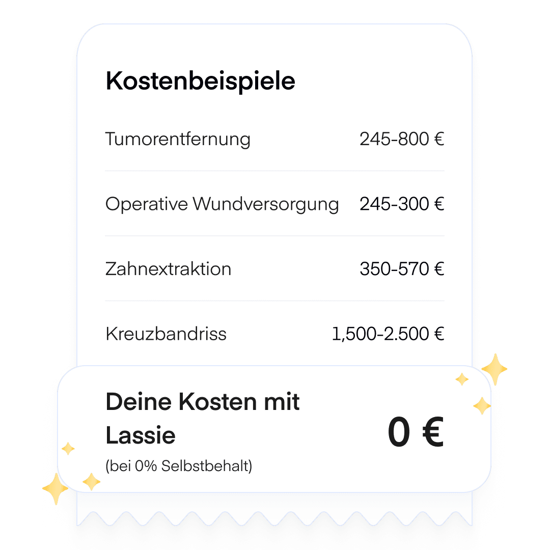 Ger: Katzen OP Kostenbeispiele