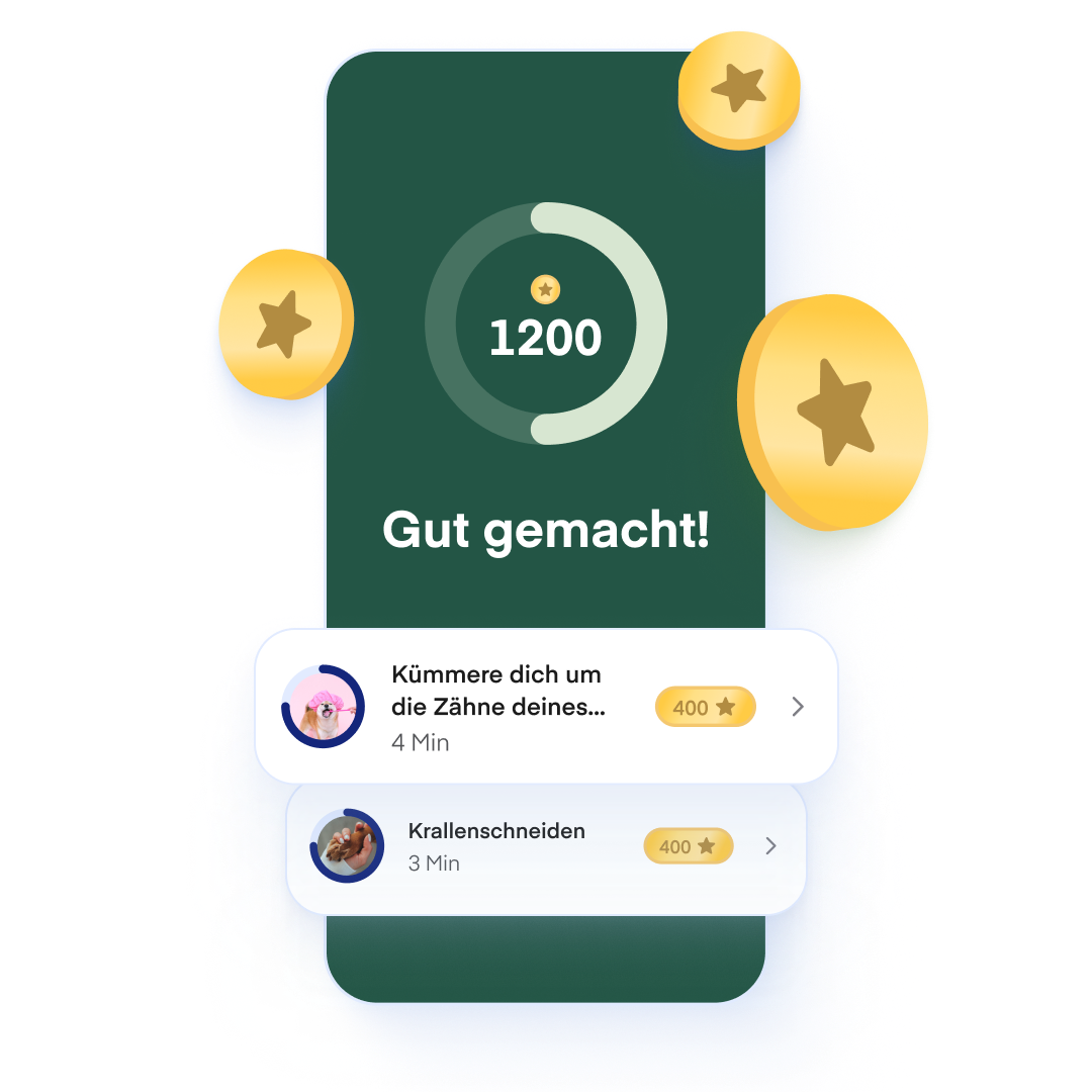 Rewards Screen German