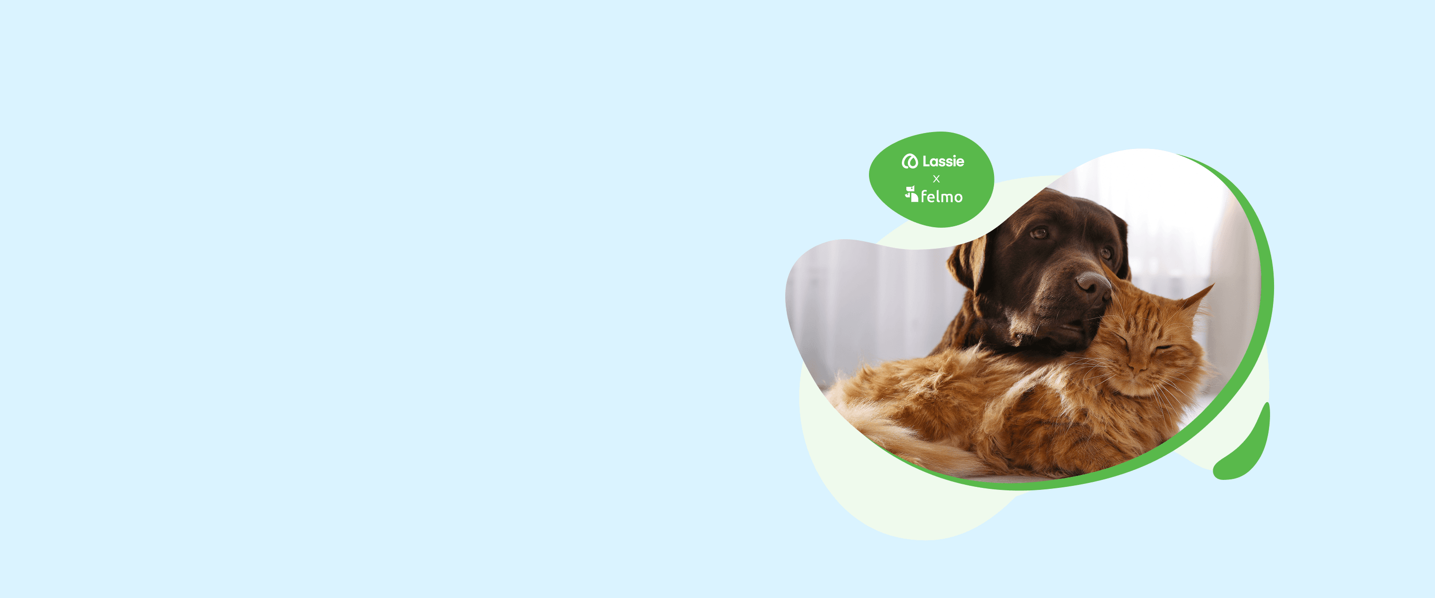 Ger: Lassie x felmo Hero Header