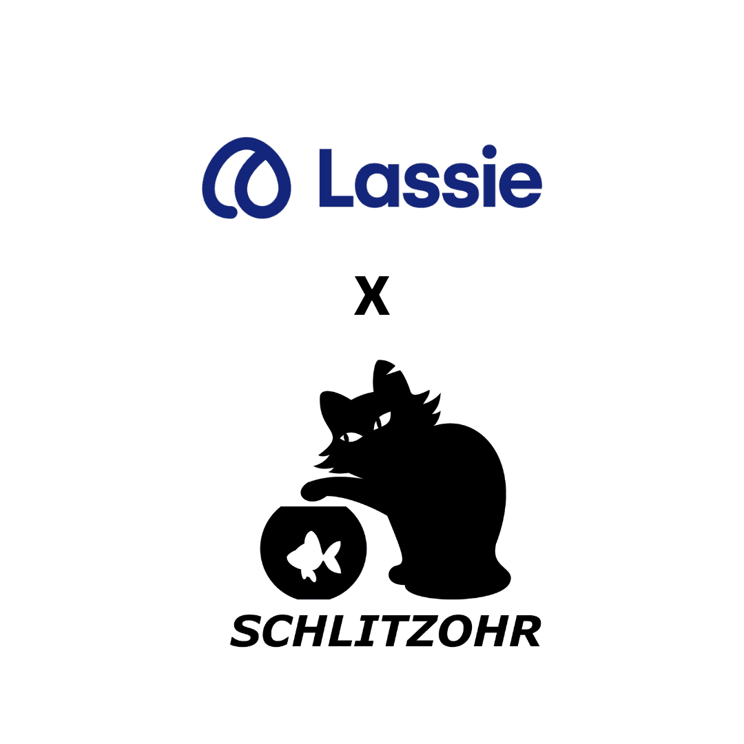 Lassie x Schlitzohr (2)