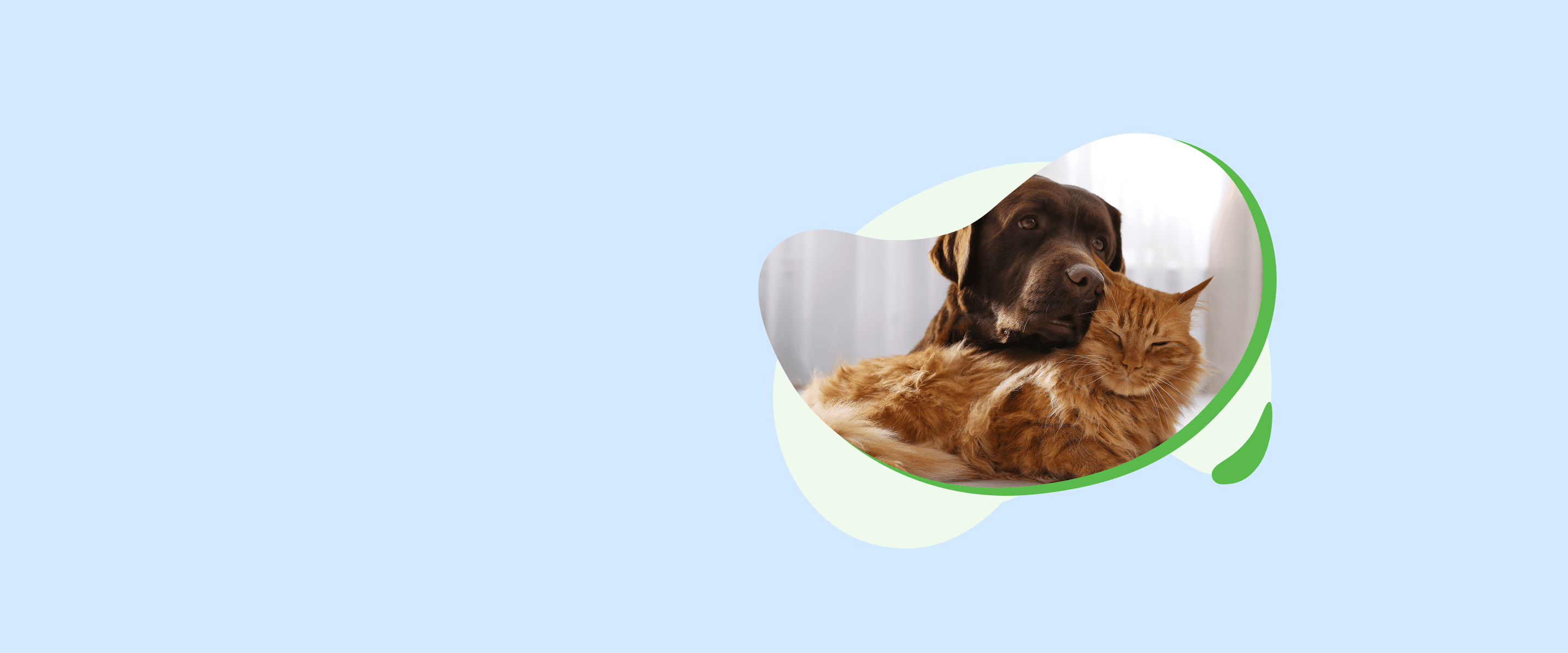 test desktop felmo hero image