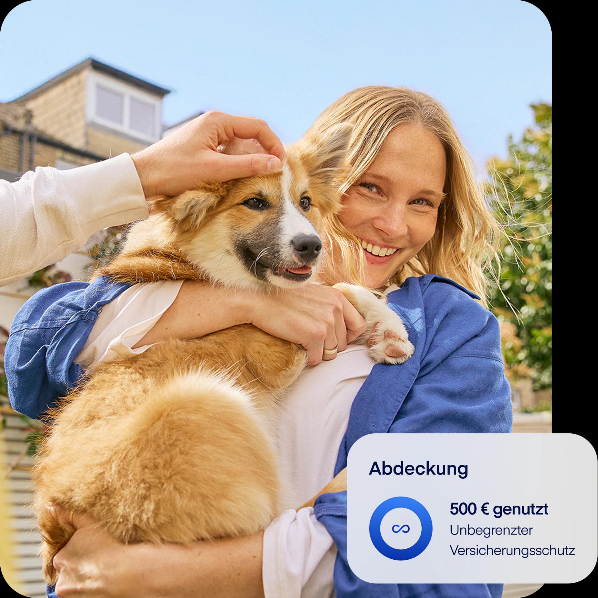 DE-NEW-photo-coverageoverlay-dog-de