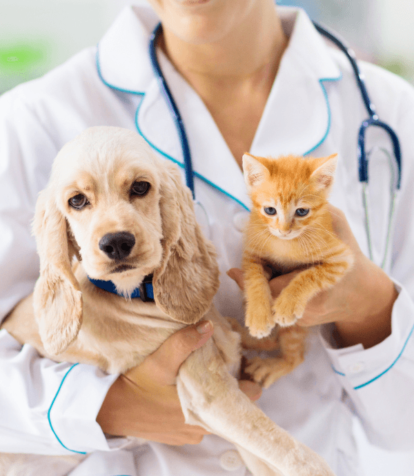 Ger: (TEST) SUBMIT_EMAIL_GET_INFO Vet Choice