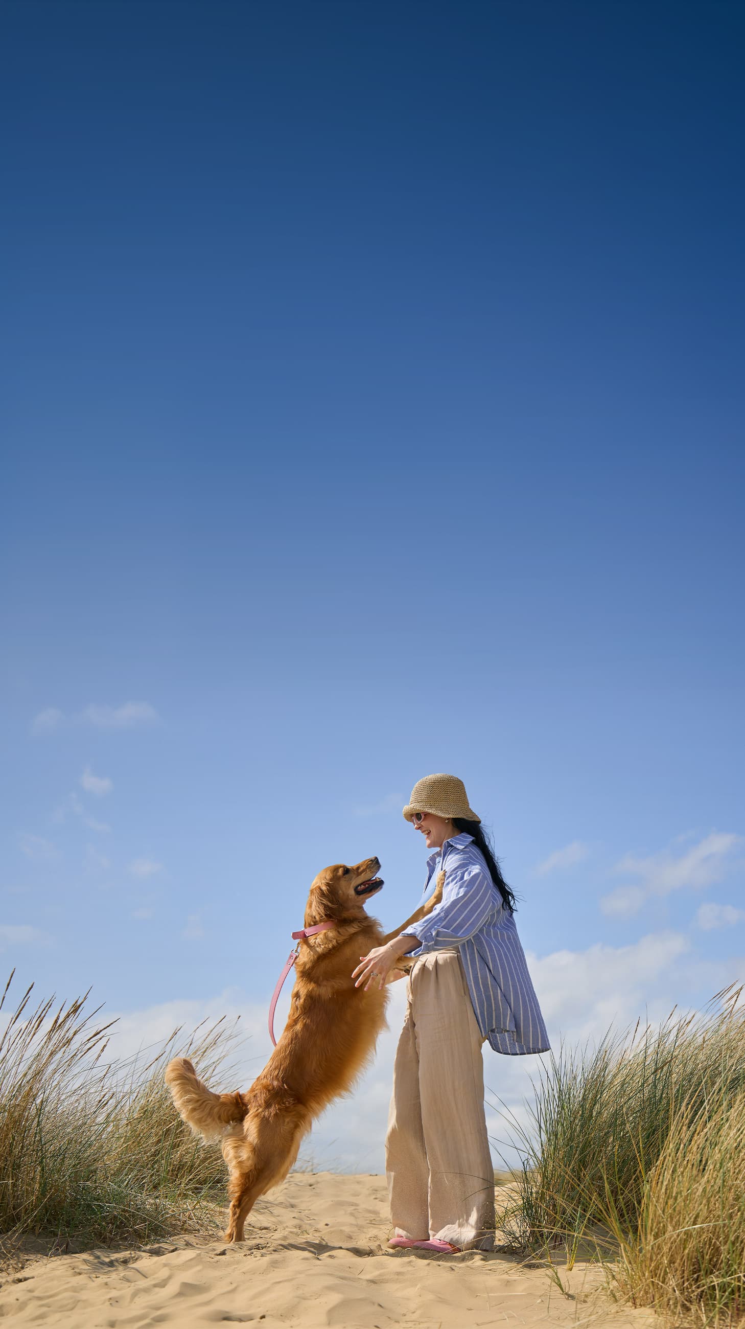 Dog-Insurance-mobile-2