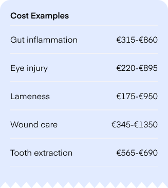 Examples of vet costs for dogs