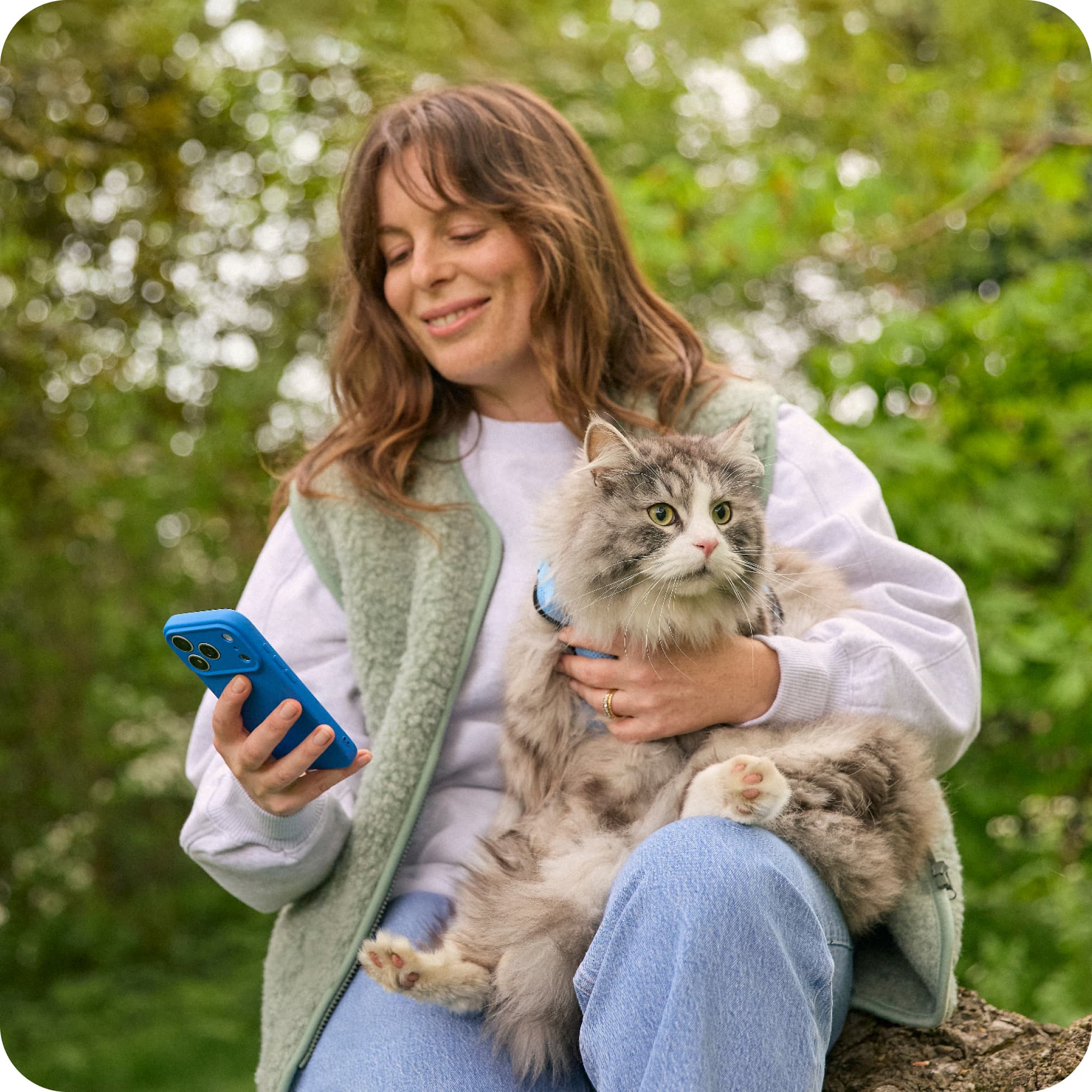 NEW How-the-Lassie-app-works