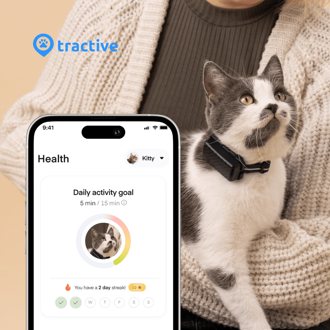 Ger: Tractive Cat