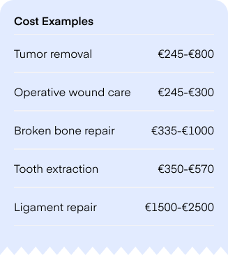 cat operation cost examples
