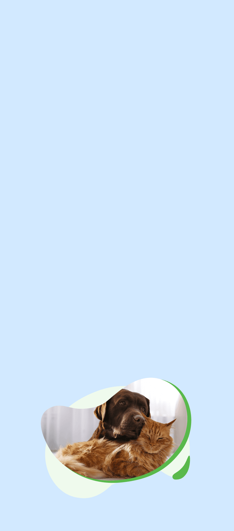 test felmo mobile