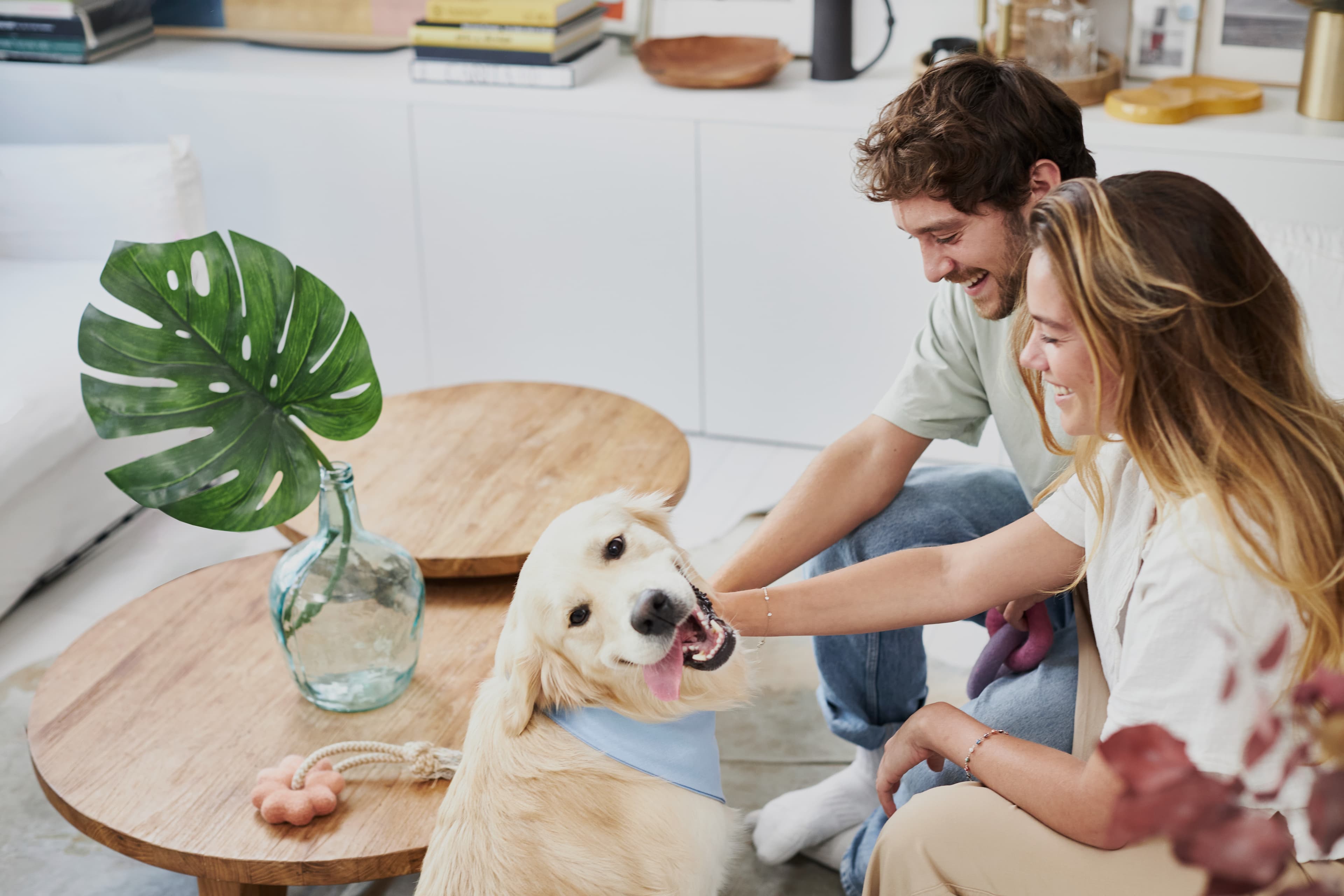 A dog and its owner seated together, engrossed in using a phone to check and review dog insurance options, emphasizing responsible pet ownership and security planning.