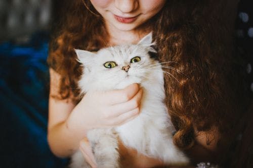 Kinder können bei Katzen für Stress sorgen!