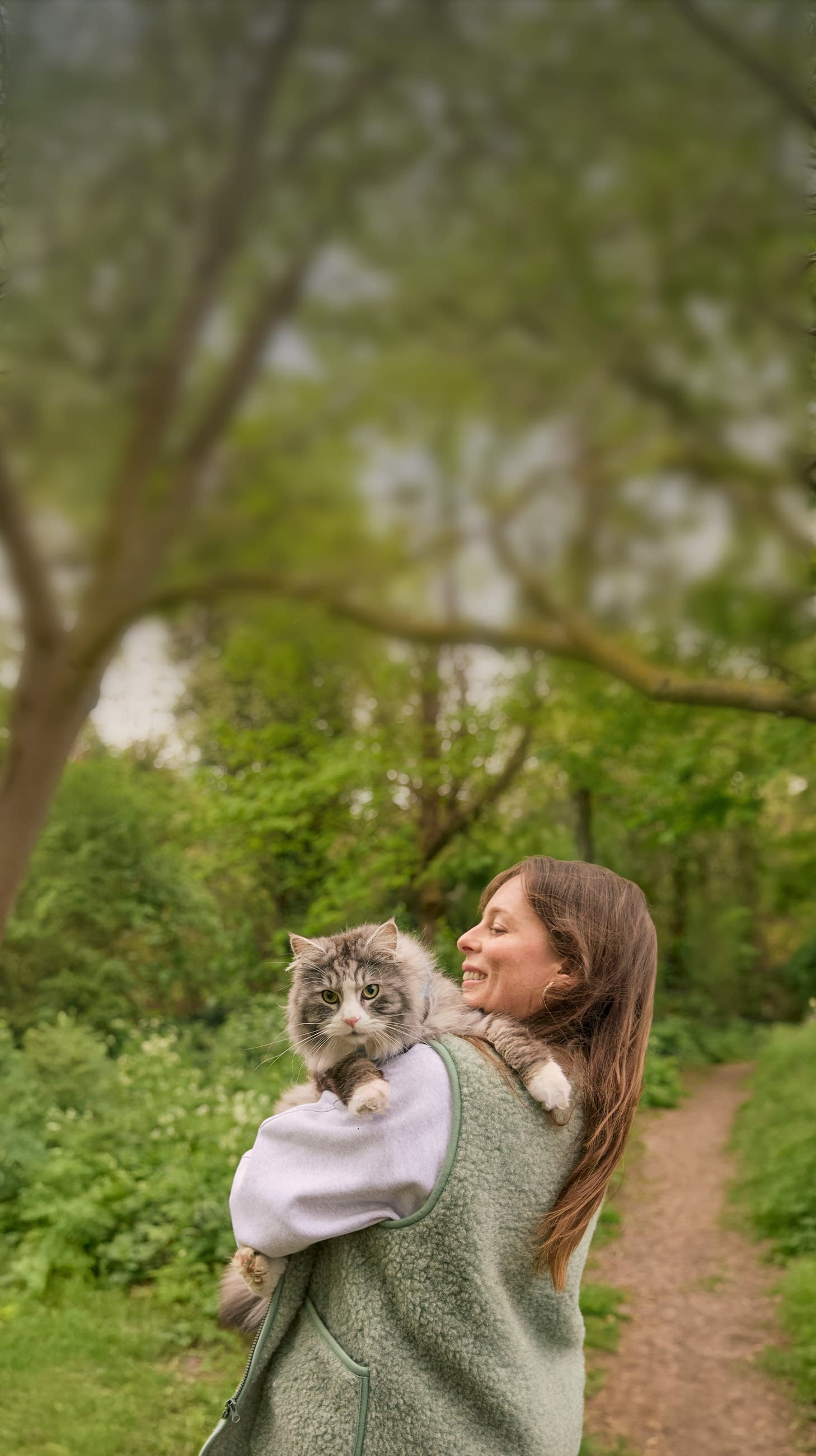 NEW Hero image - Cat mobile 4