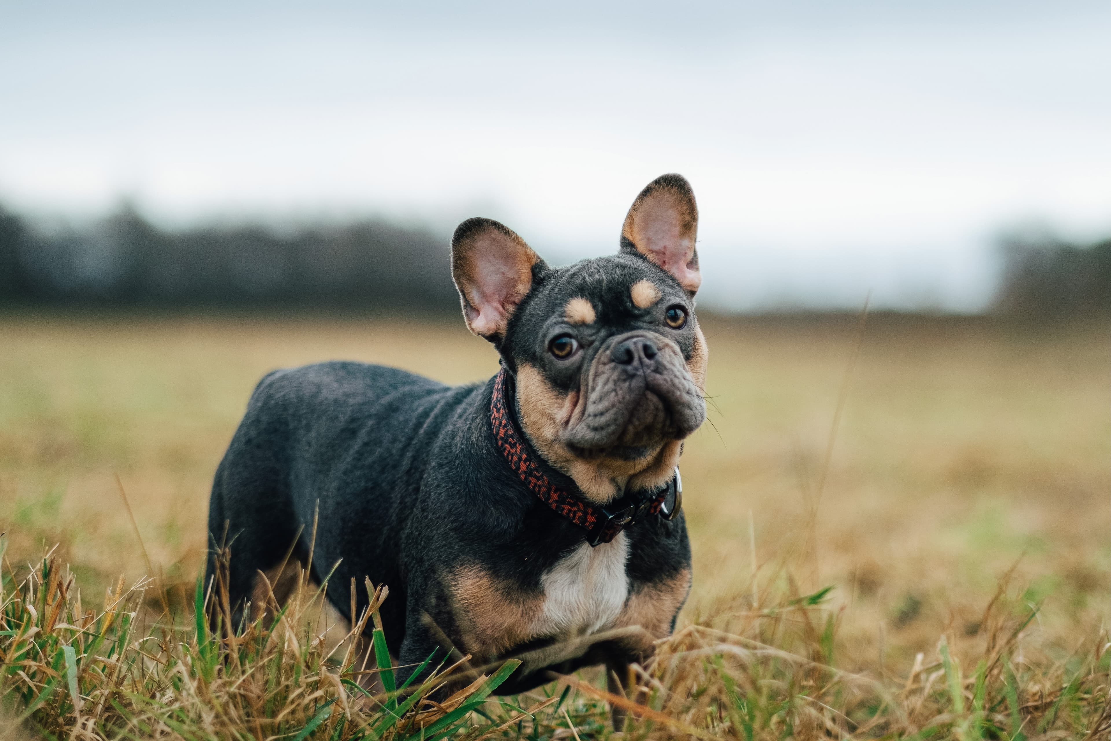 https://unsplash.com/photos/Fkwlgk2vQdA