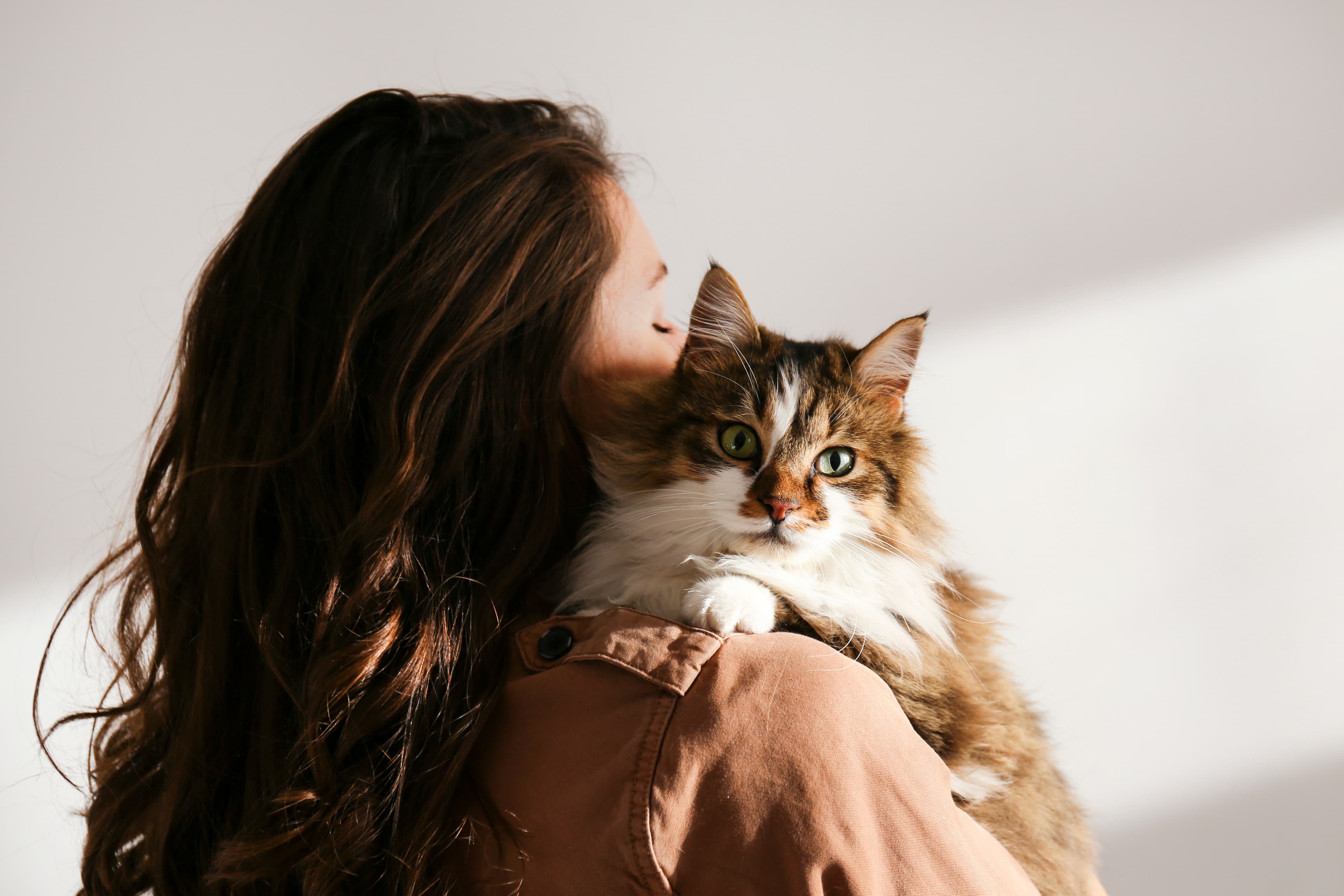 Woman hugging cat
