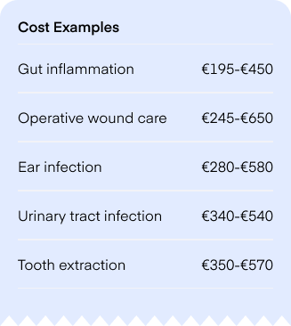 Examples of vet costs for cats